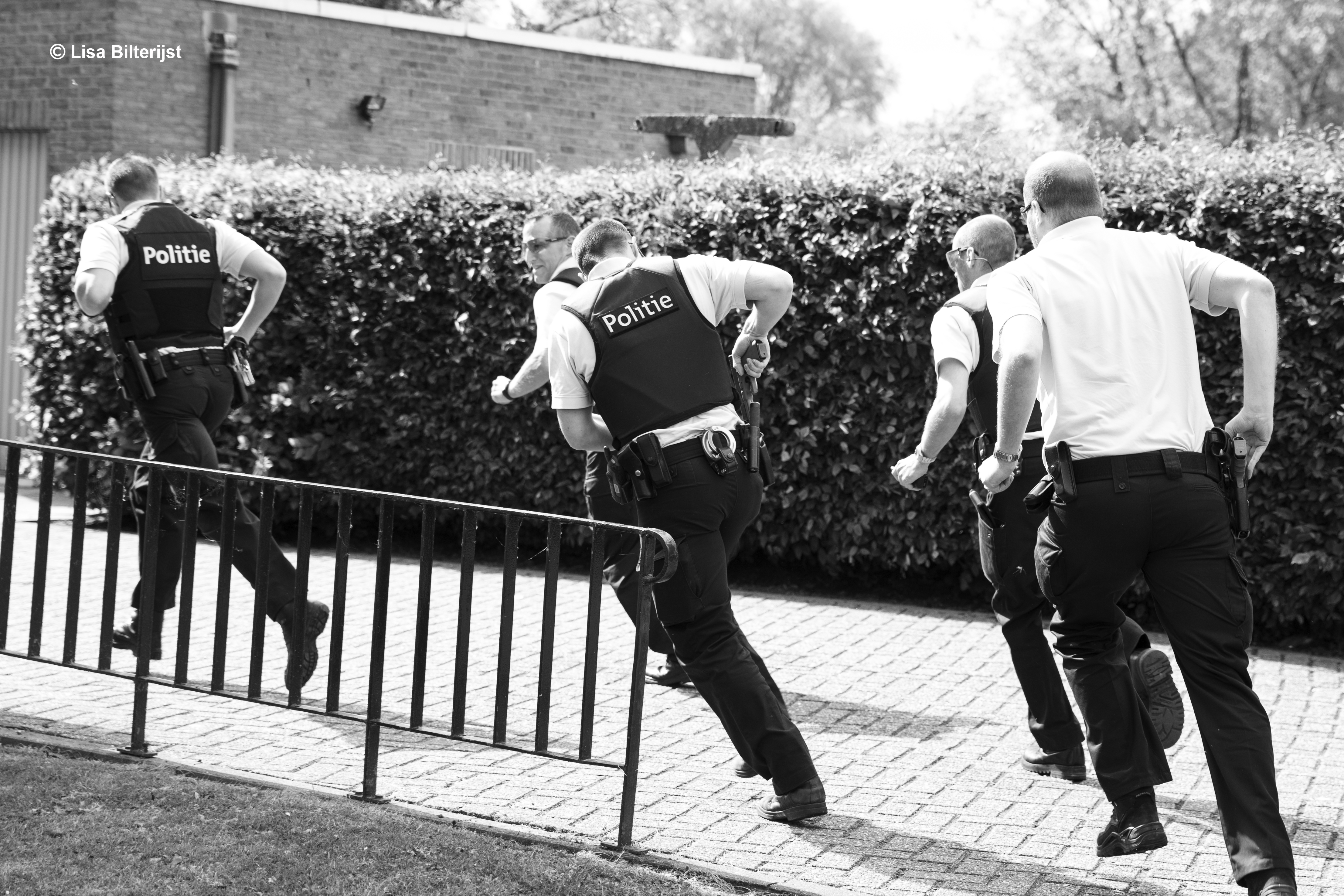 Foto Amok