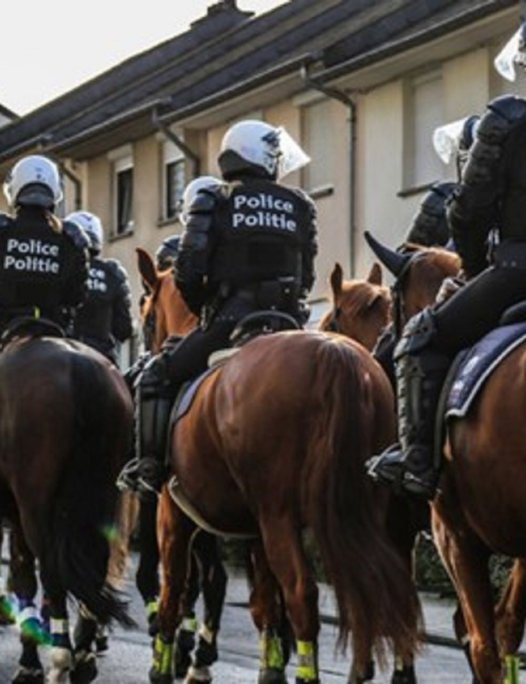 cavalerie