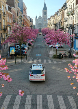 Avenue fleurie