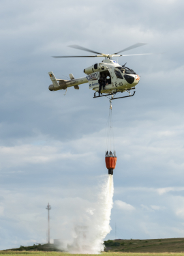 Bambi Bucket
